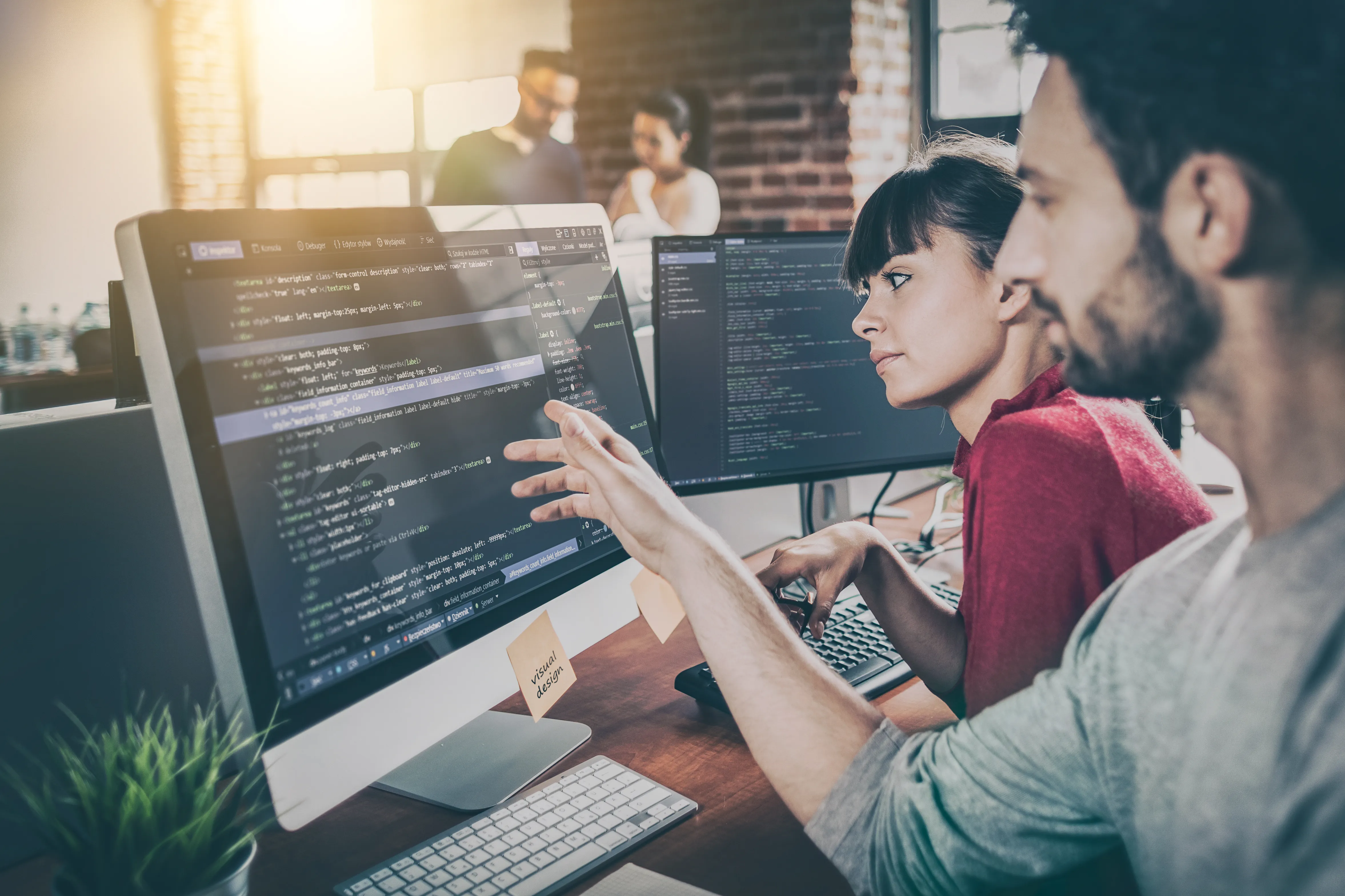Cursuri programare online